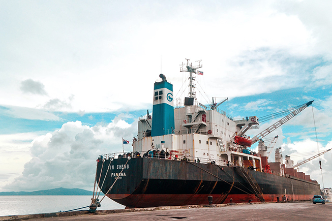 A docked cargo ship in a seaport